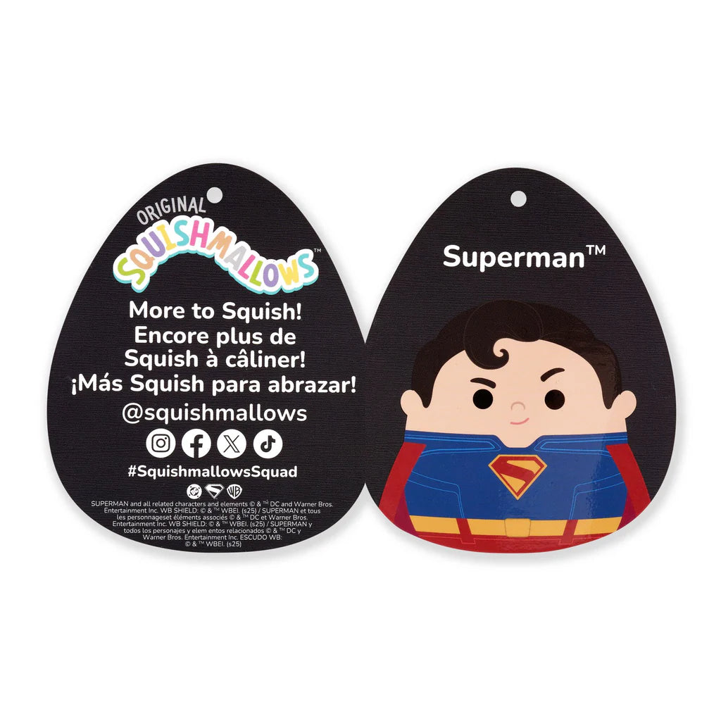 Squishmallows Warner Bros Superman with Krypto