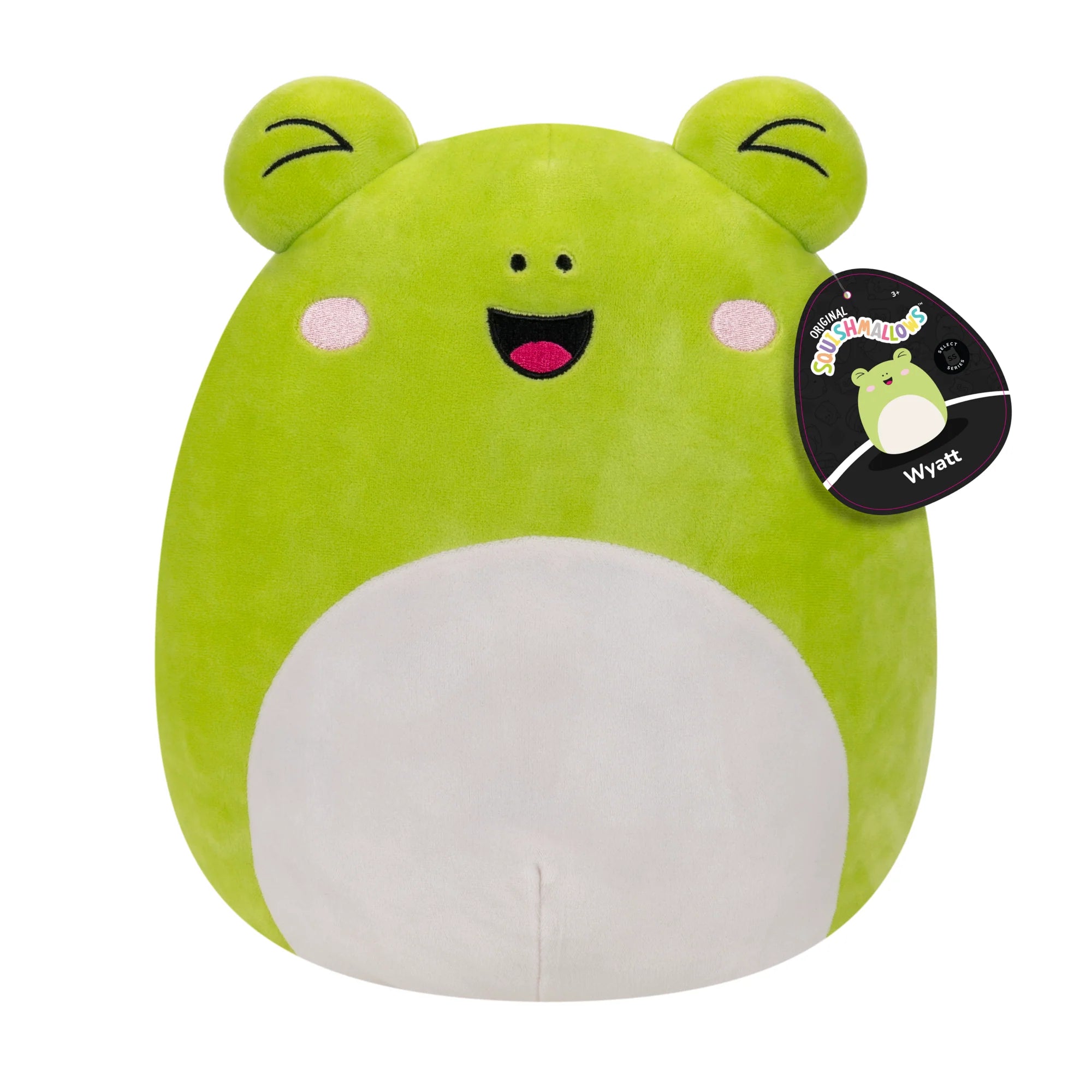 Squishmallows - Select Series Wyatt the Frog