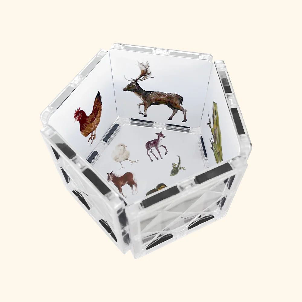 Magnetischer Bausatz COLORMAG CLEAR