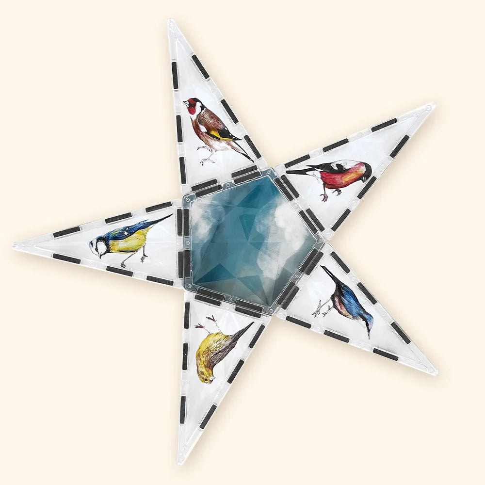 Magnetischer Bausatz COLORMAG CLEAR