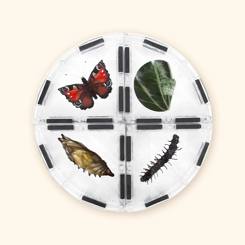 Magnetischer Bausatz COLORMAG CLEAR