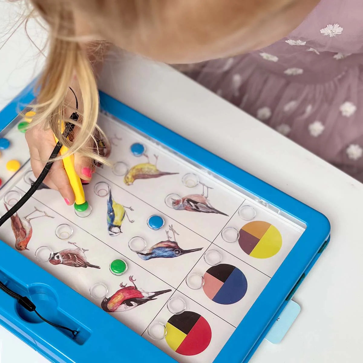 LOGIDOTS cards - Animals