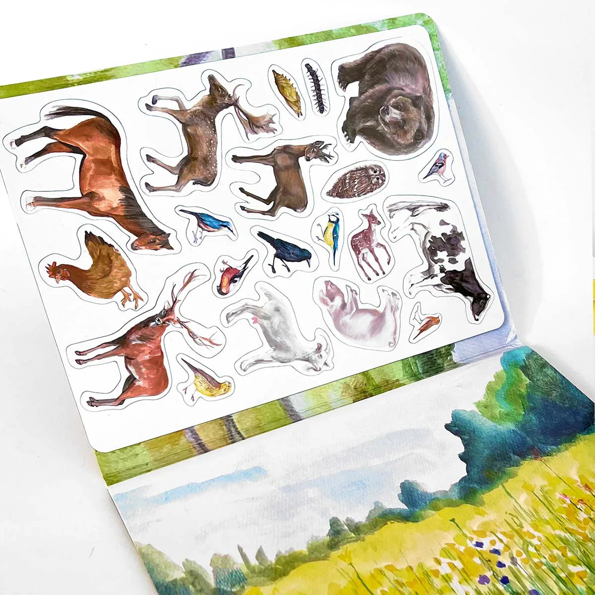 MAGBOOK - magnetic book - Animals