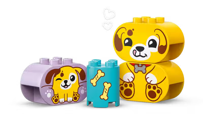 LEGO DUPLO Shape Sorting Puppy House (10441)