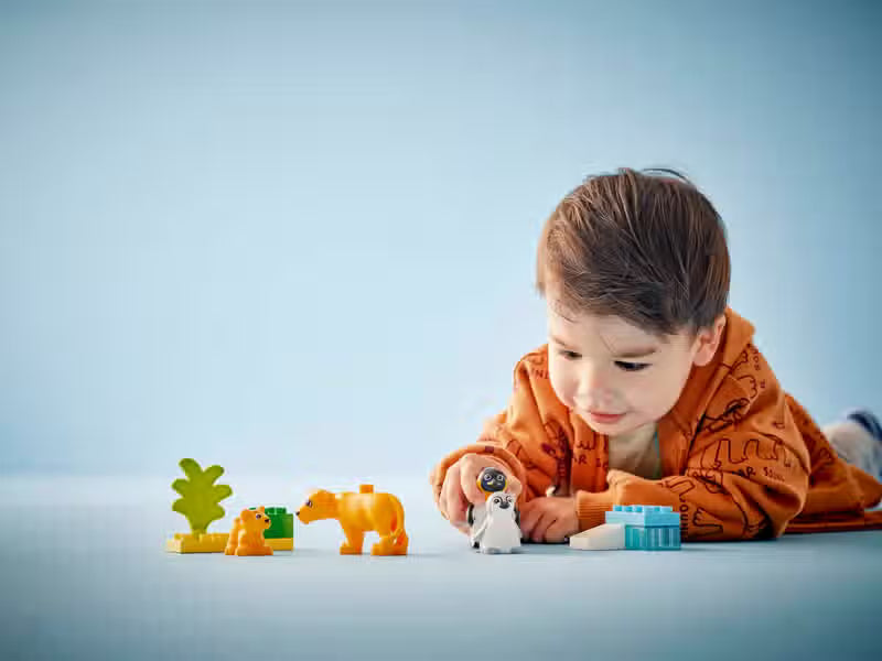 LEGO DUPLO Wild Animal Families Penguins and Lions (10442)