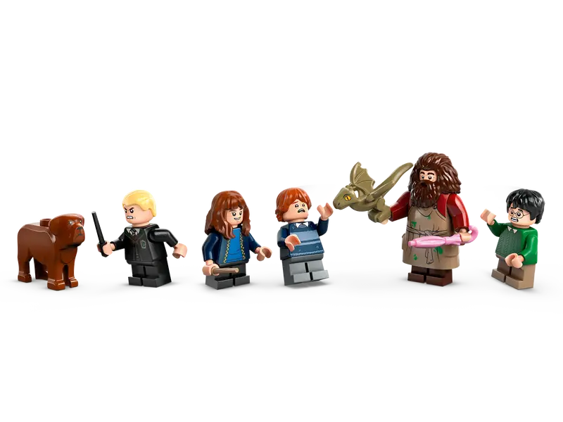 LEGO Harry Potter Hagrid’s Hut Harry Potter and Friends’ Visit (76428)