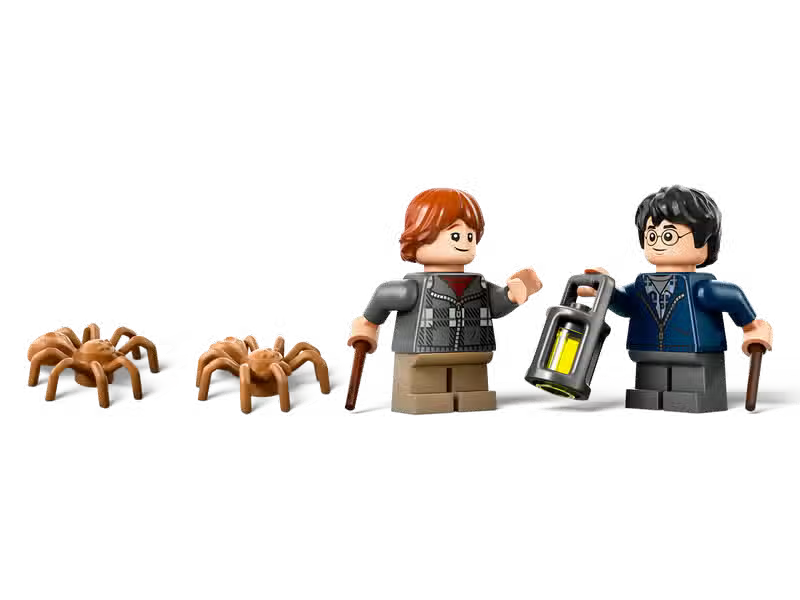 LEGO Harry Potter Aragog (76434)