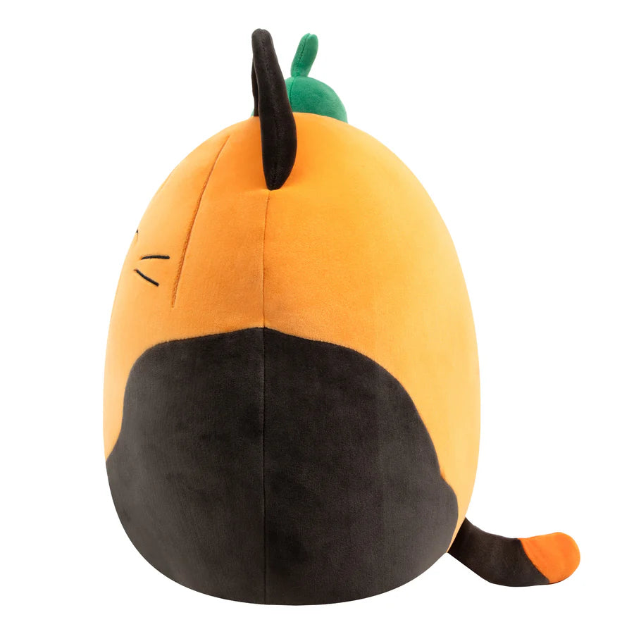 Squishmallows Halloween  Pumpkin Cam