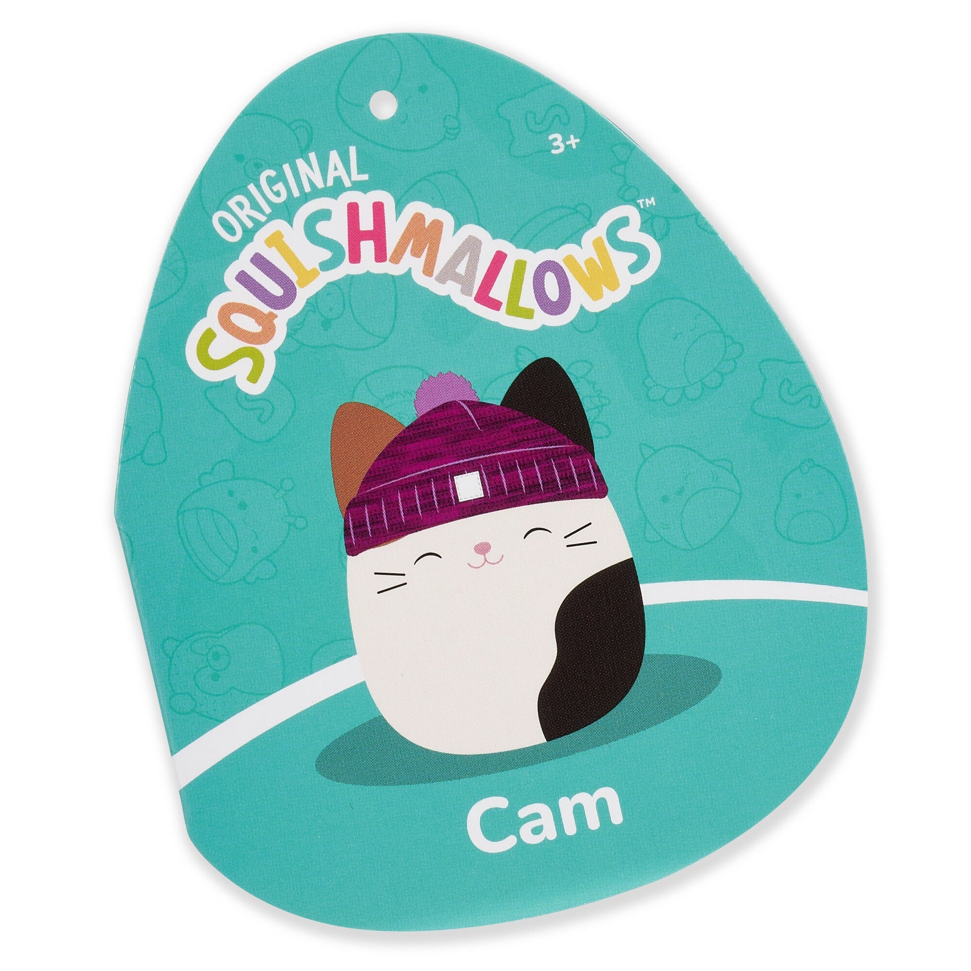 Squishmallows  - Cam Calico Cat with Purple Hat