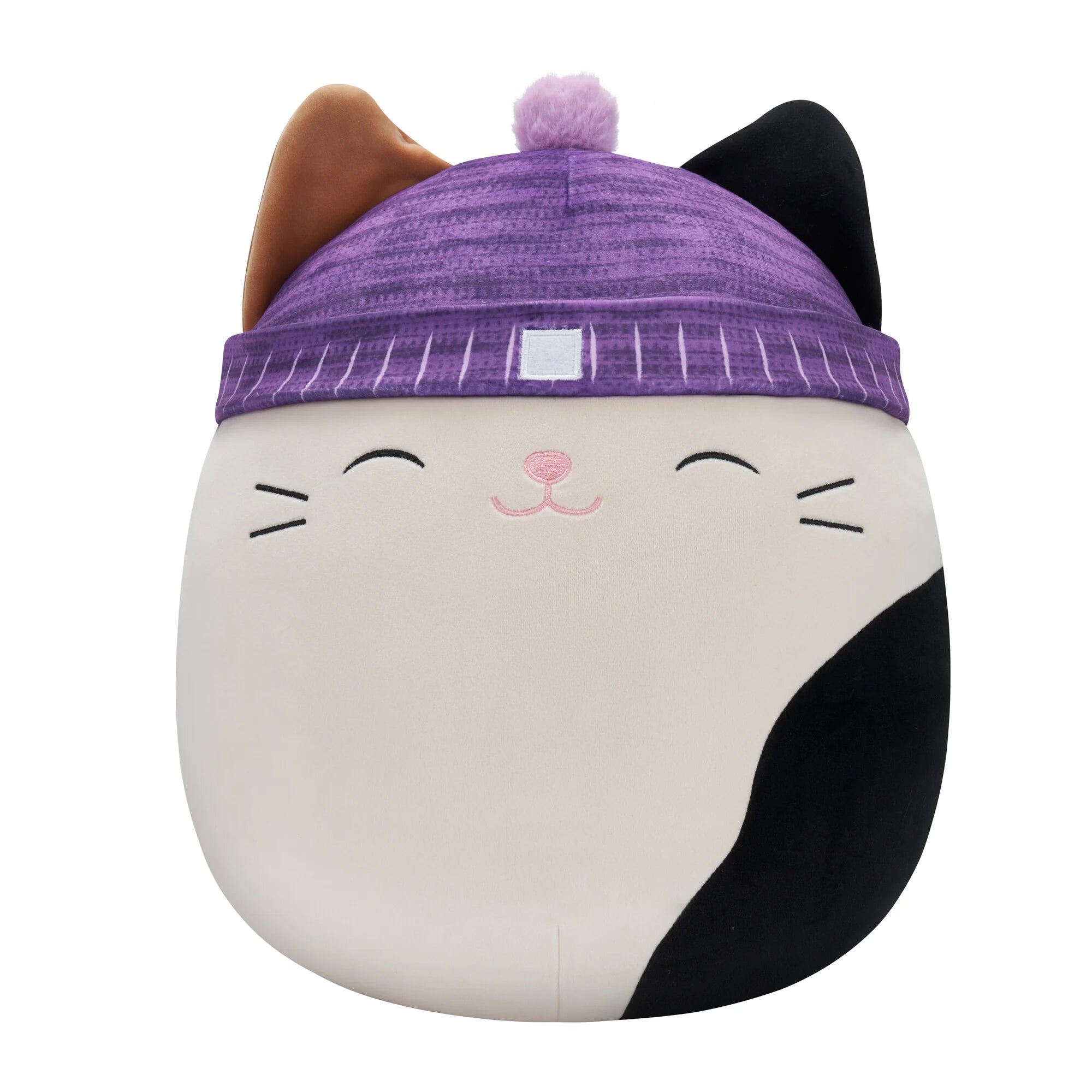 Squishmallows  - Cam Calico Cat with Purple Hat