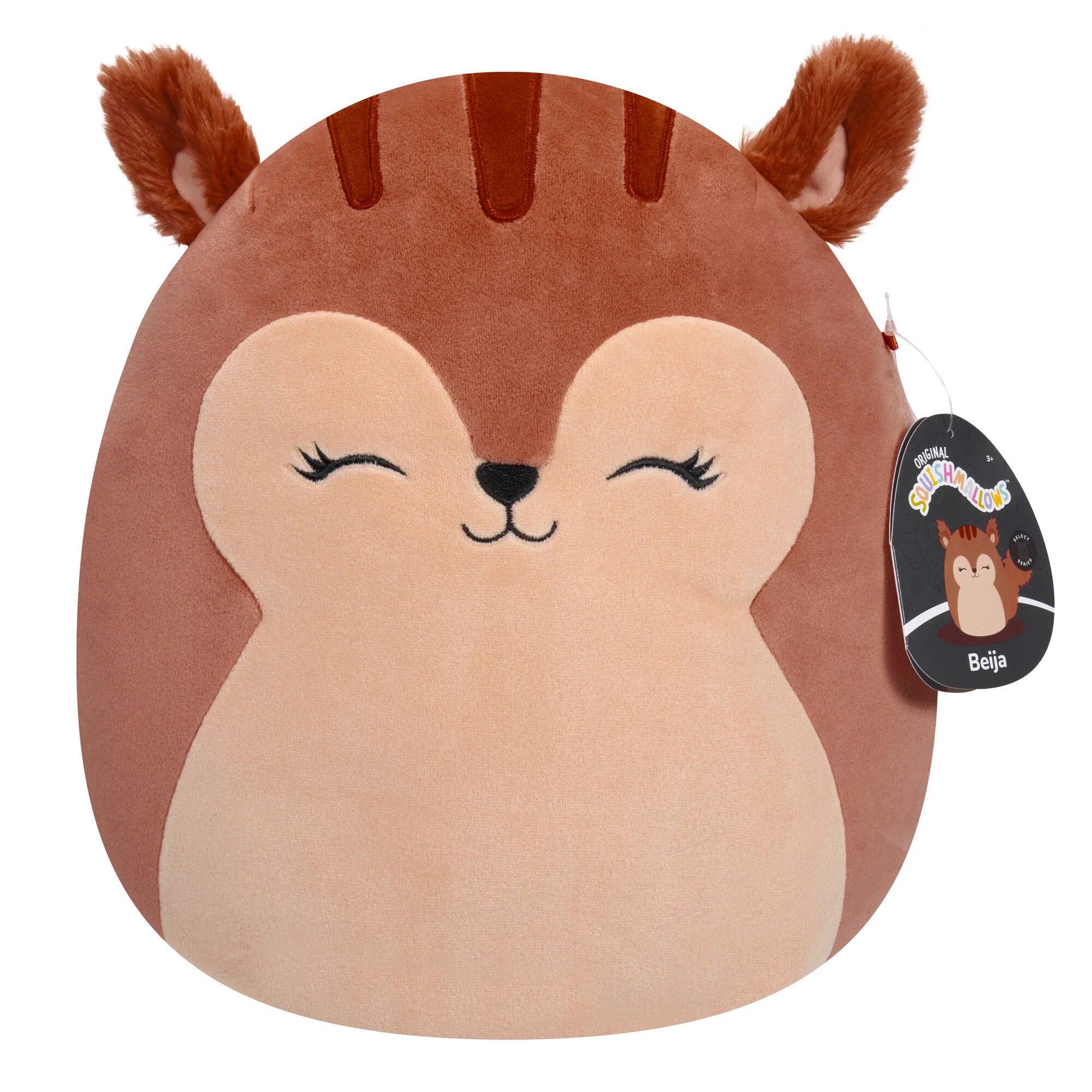 Squishmallows  - Select Series Beija the Squirrel