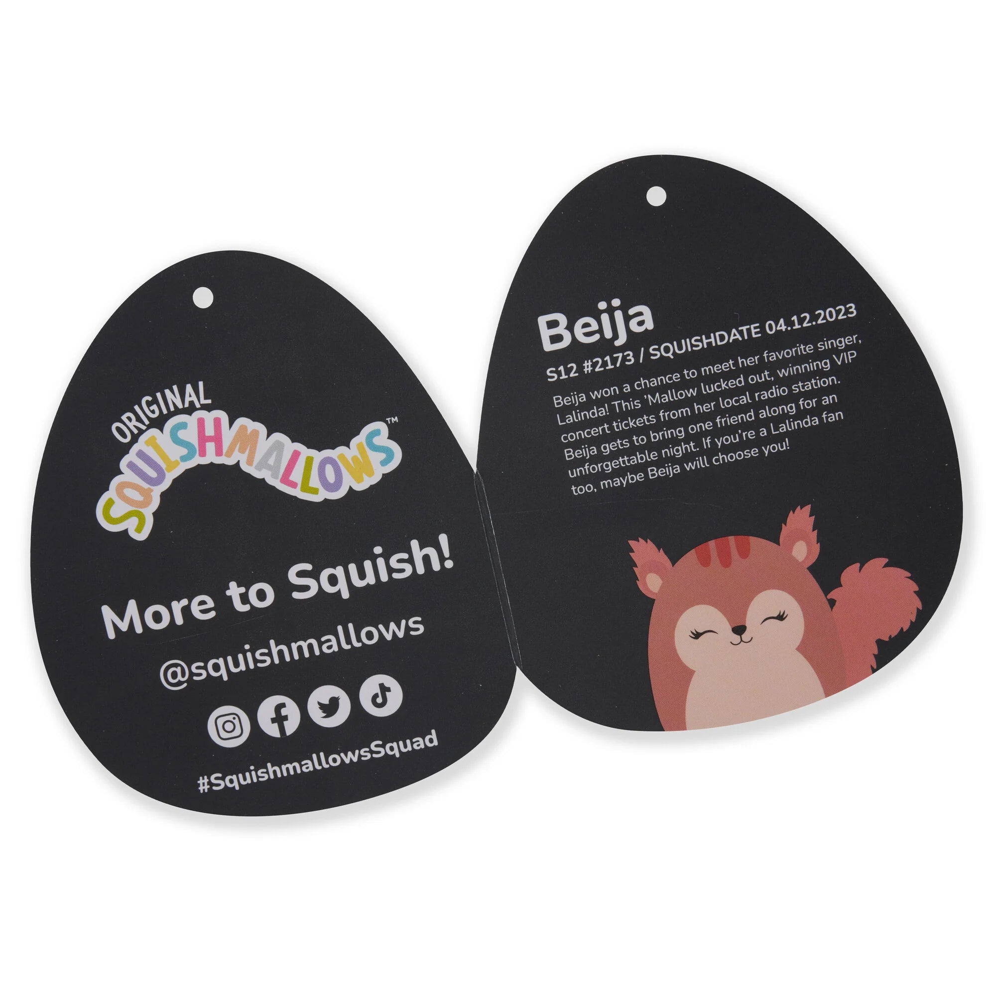 Squishmallows  - Select Series Beija the Squirrel