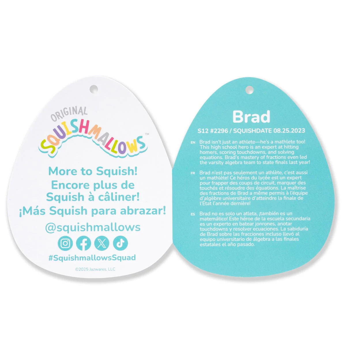 Squishmallows  - Brad the Green Retriever Dog