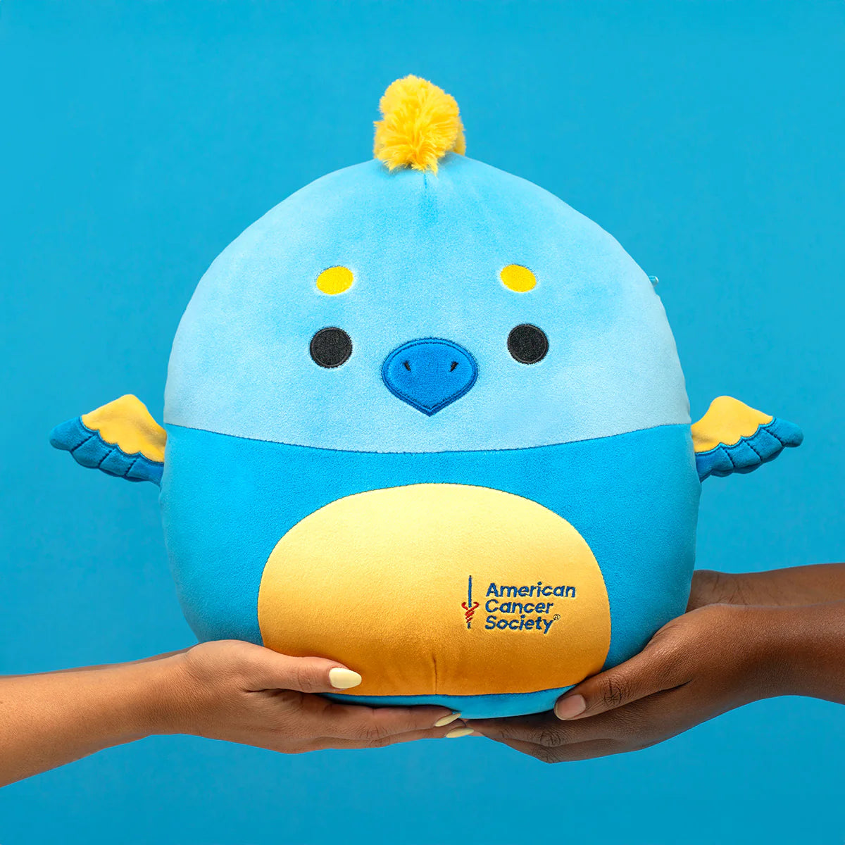 Squishmallows  - Stephamos the Blue and Yellow Phoenix (ACS)