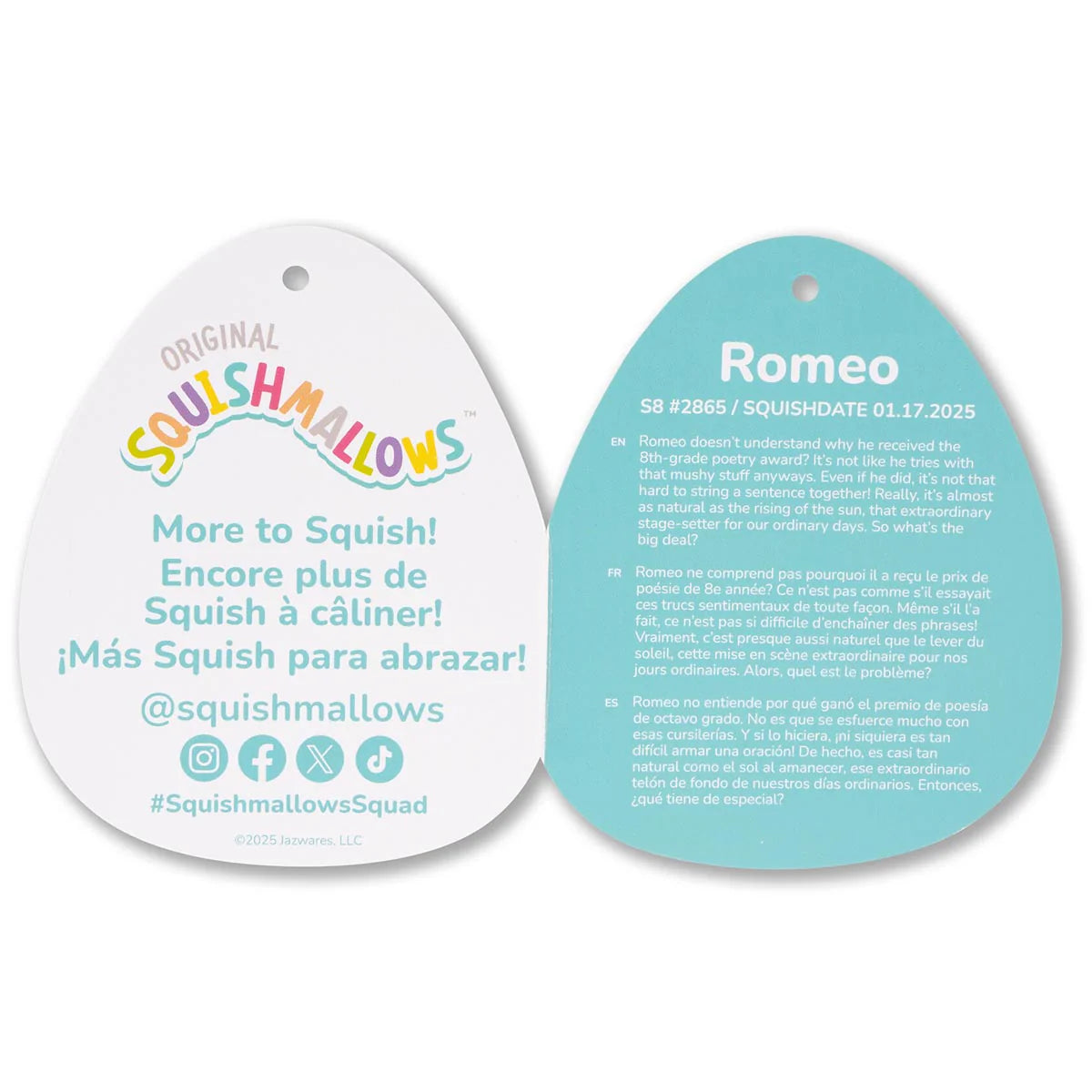 Squishmallows  -Romeo the Red Strawberry Bear