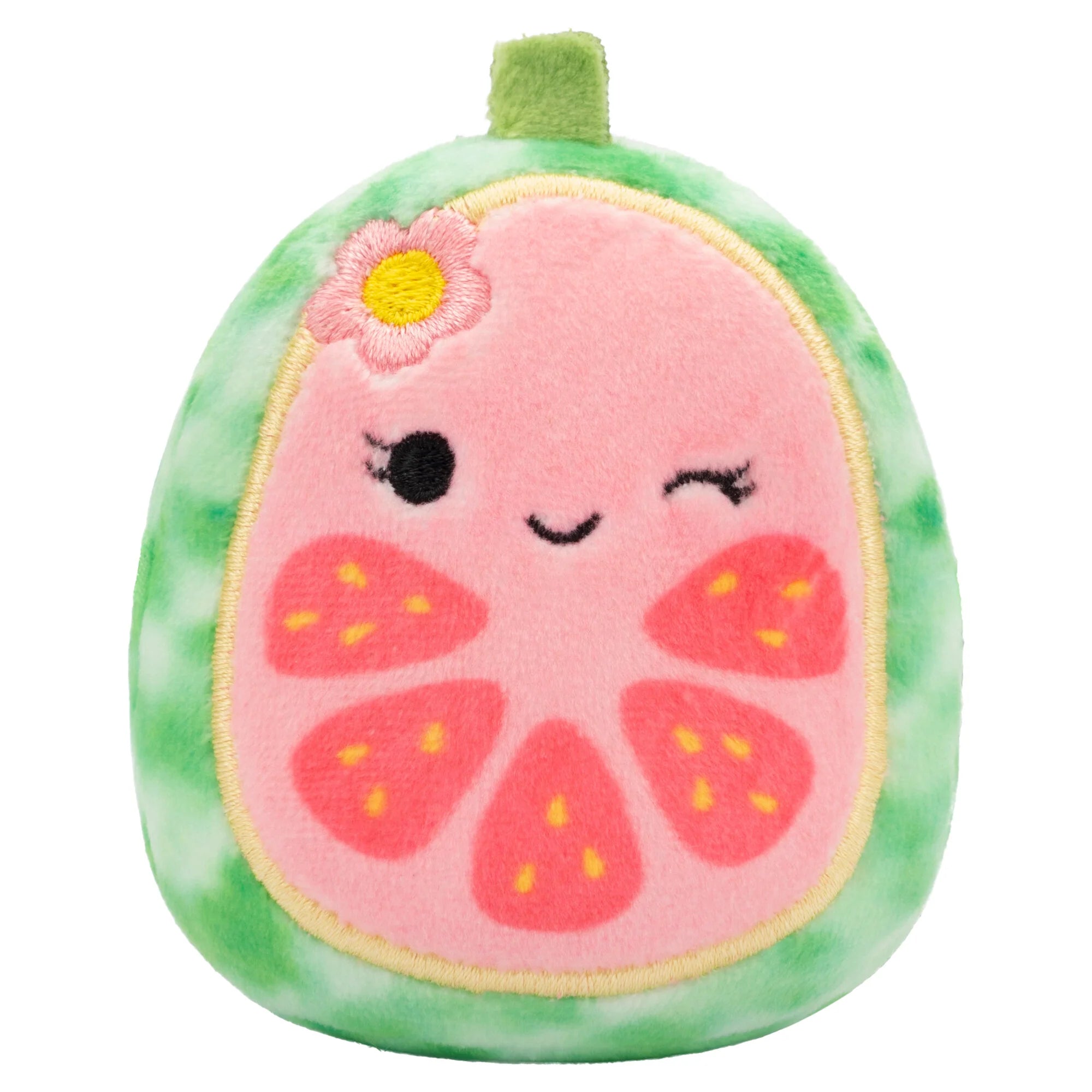 Squishmallows Micromallows 6-Pack – Danny Dinosaur, Dane Dragon, Malcolm Mushroom, Lena Guava Fruit, Leonard Lion, Noah Seal