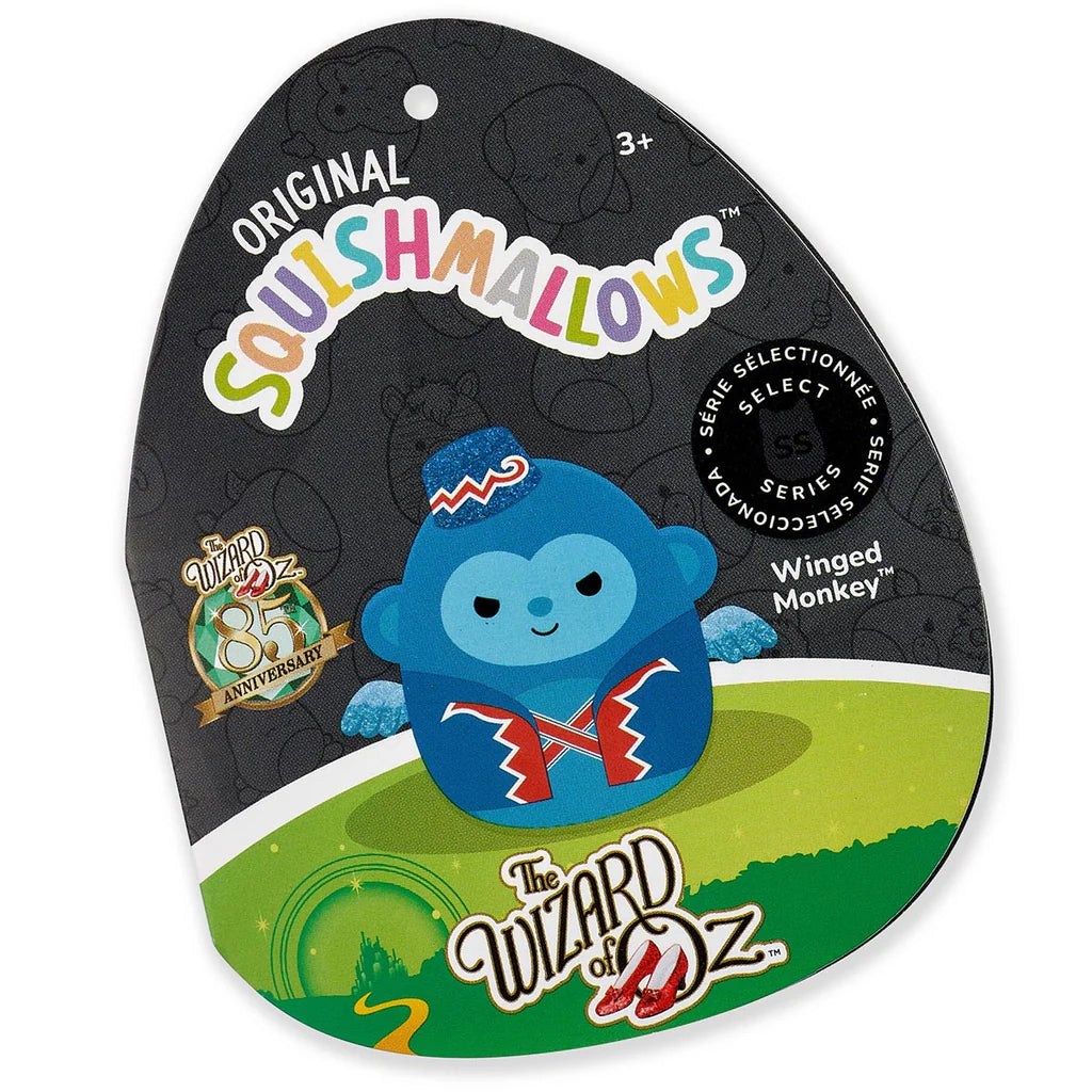 Squishmallows Warner Bros Wicked Witch + Winged Monkey