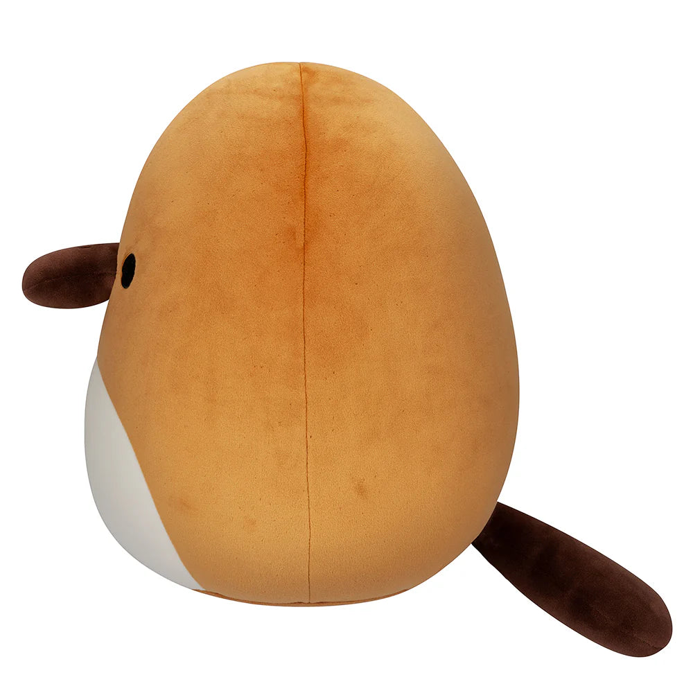 Squishmallows  - Santino the Platypus