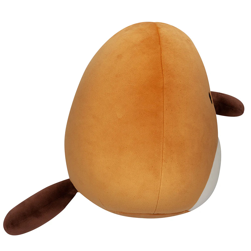 Squishmallows  - Santino the Platypus