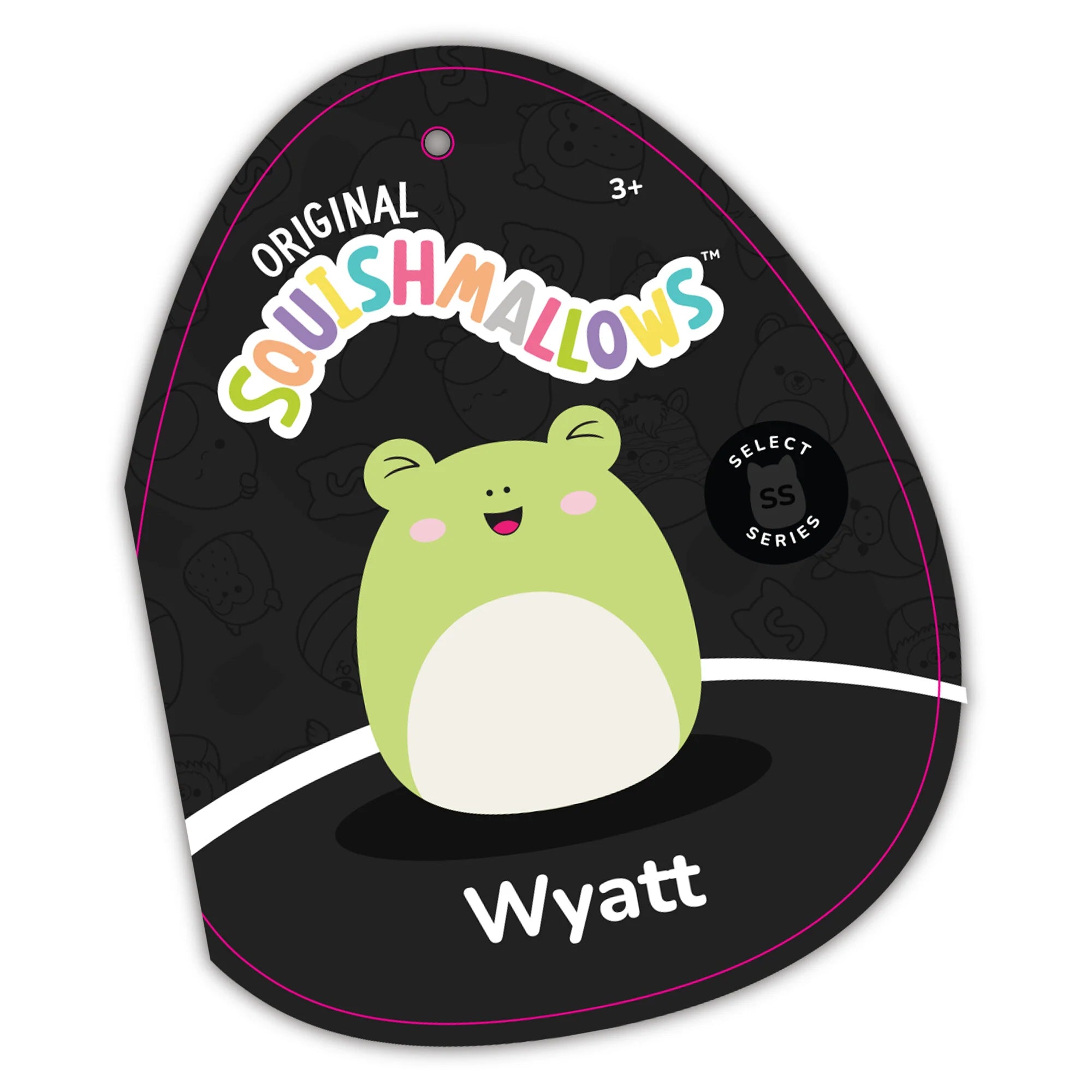 Squishmallows  - Select Series Wyatt the Frog