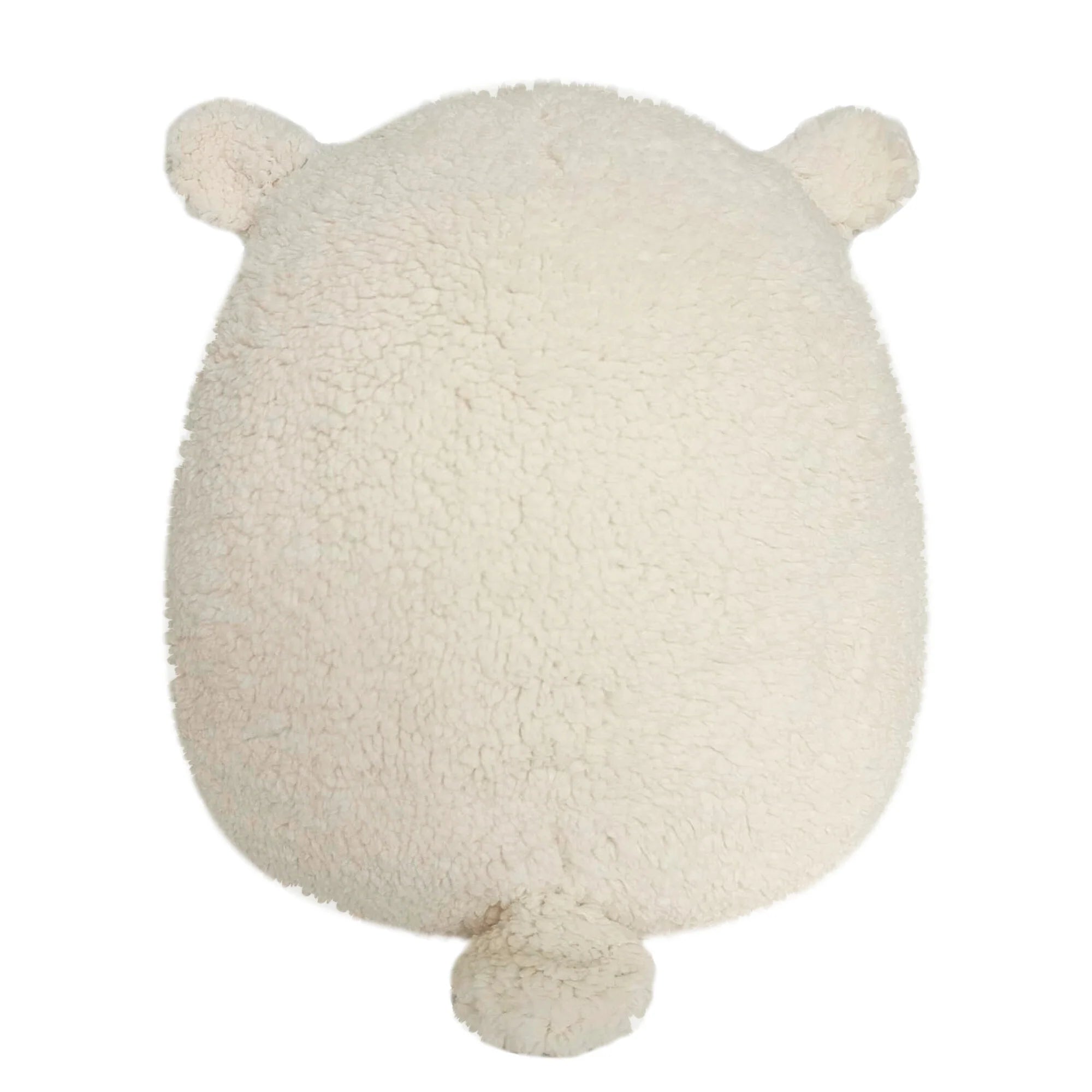 Squishmallows  - Sophie the Cream Lamb with Daisy Flower Belly