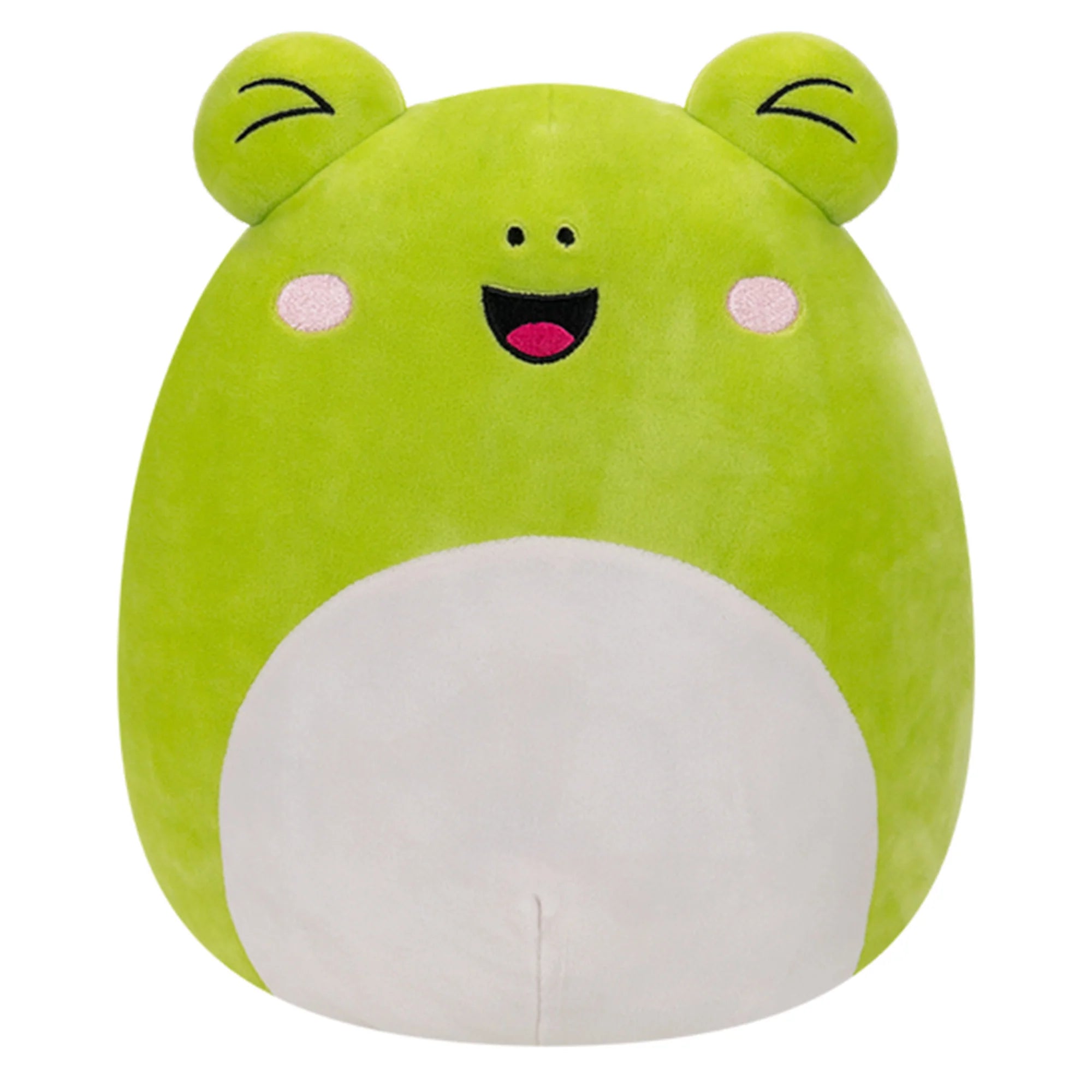 Squishmallows  - Select Series Wyatt the Frog