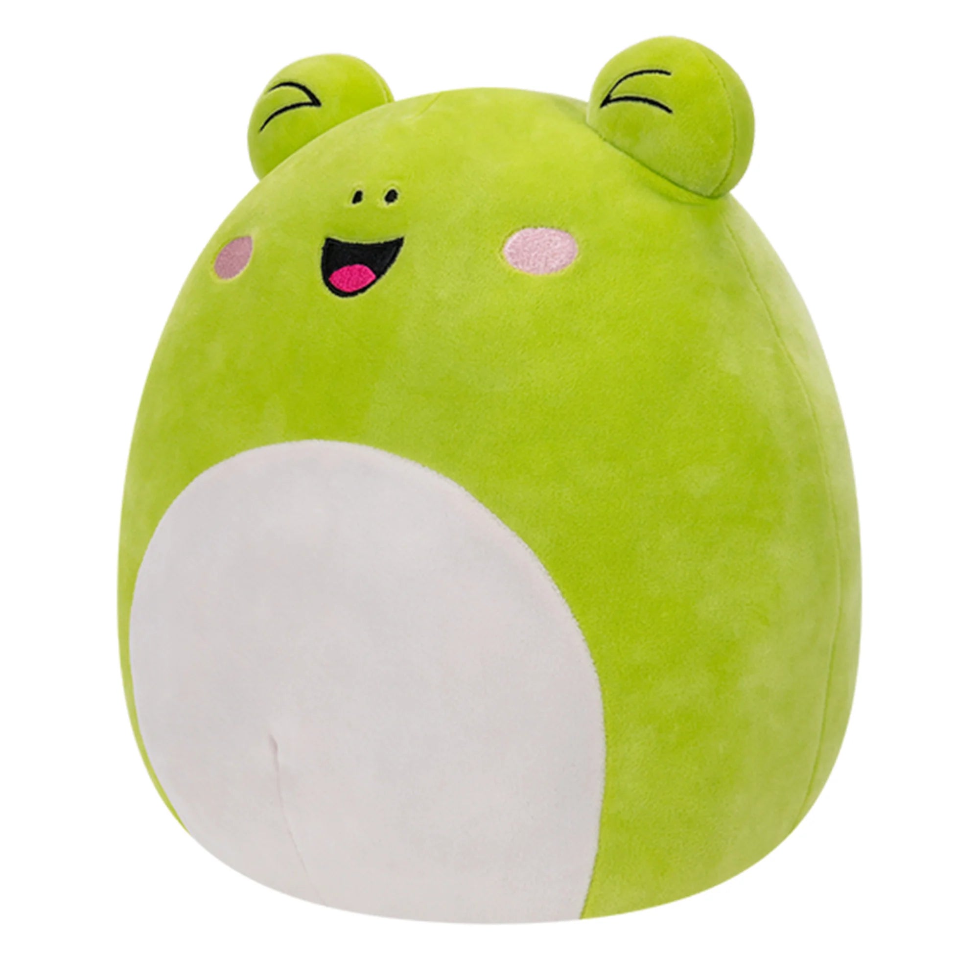 Squishmallows  - Select Series Wyatt the Frog