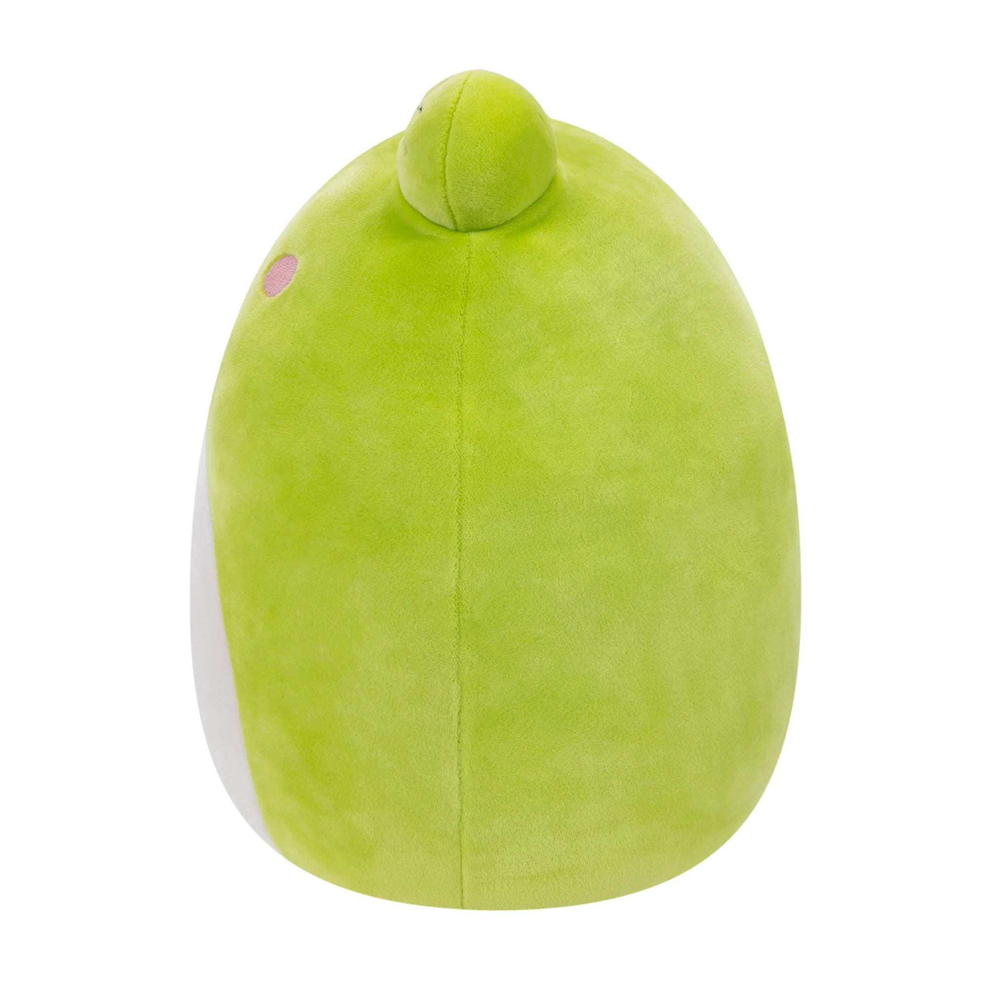 Squishmallows  - Select Series Wyatt the Frog