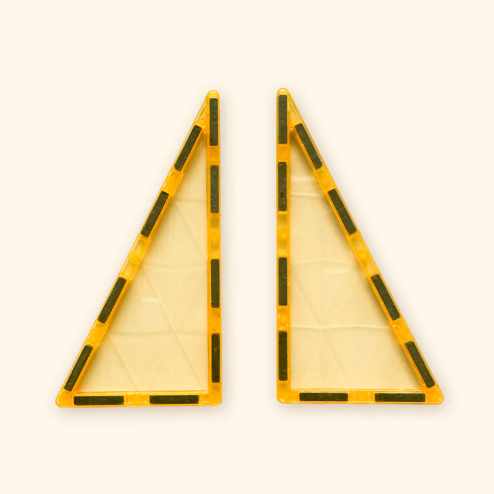 Magnetic Building Set COLORMAG - Architect