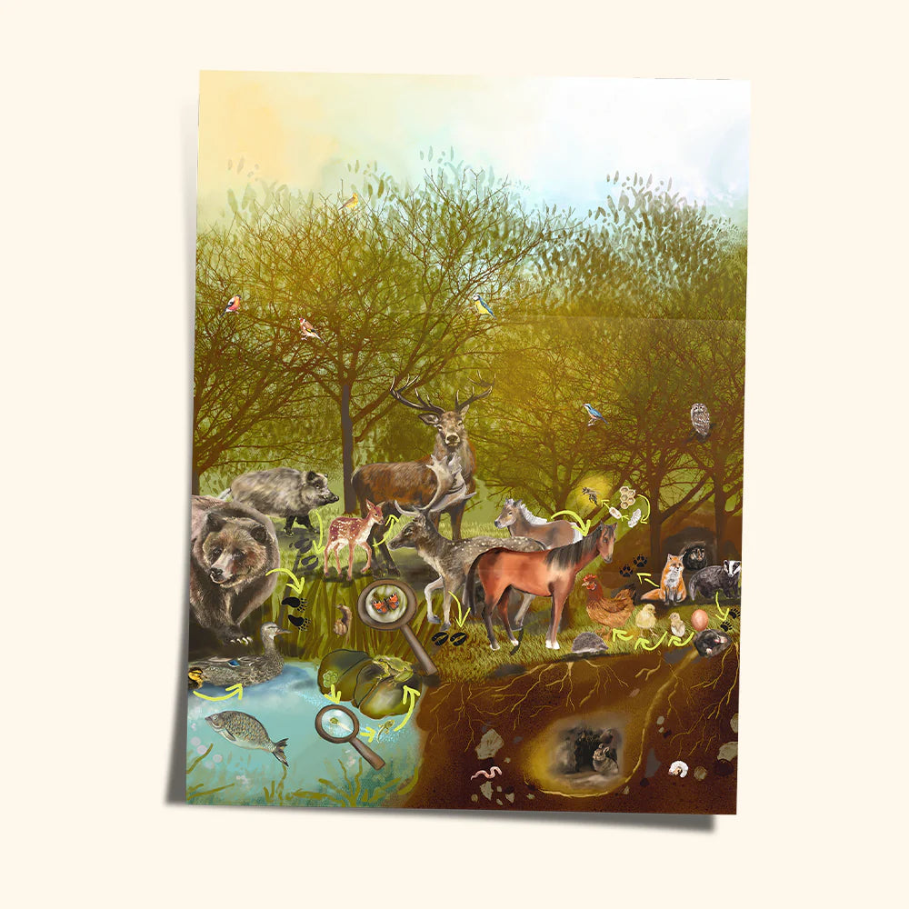 Jeu de construction magnétique COLORMAG CLEAR