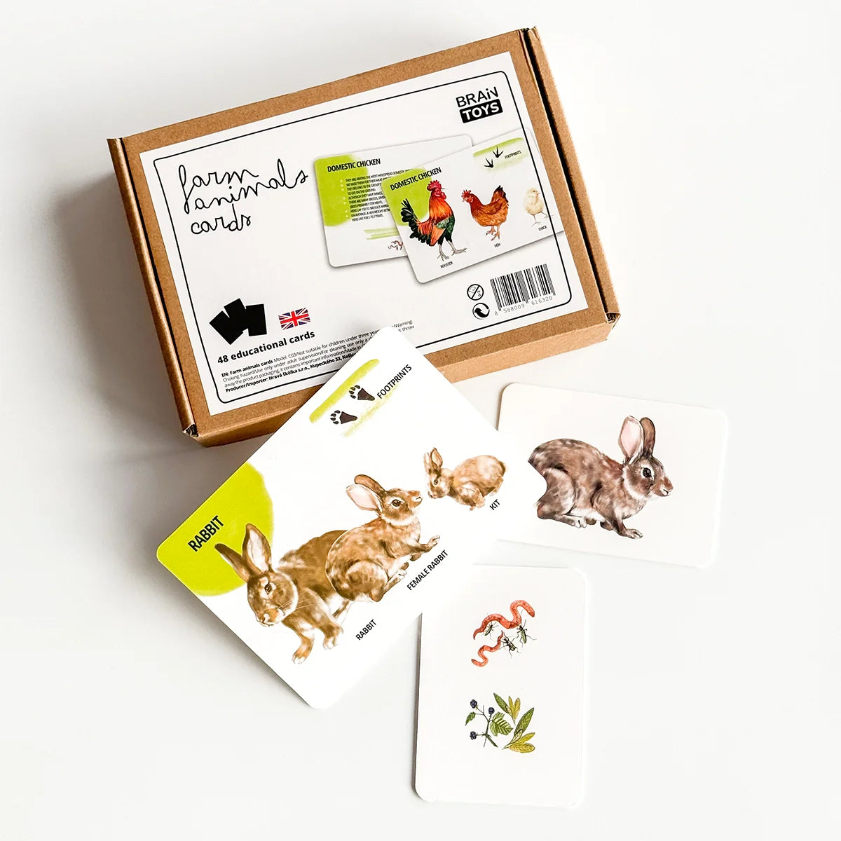 Educational Card Set Farm Animals