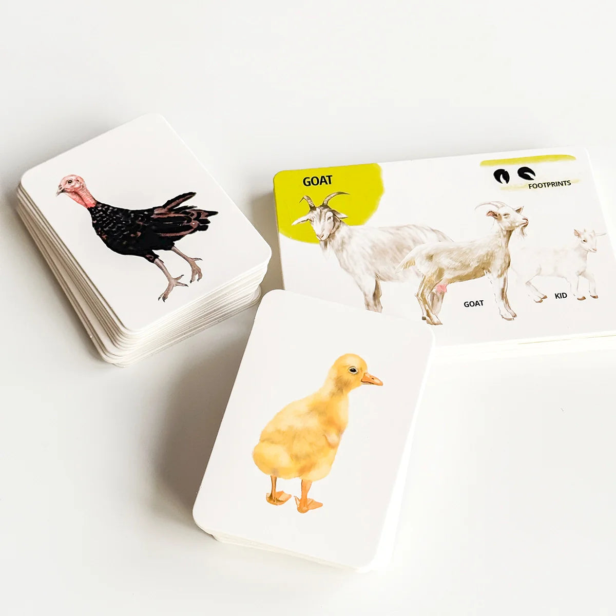 Educational Card Set Farm Animals