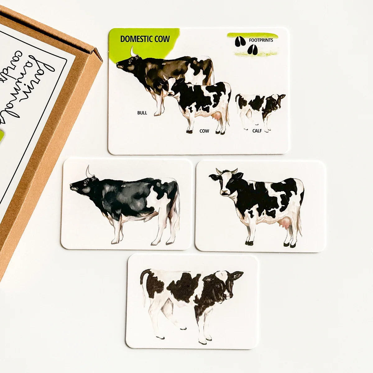 Educational Card Set Farm Animals