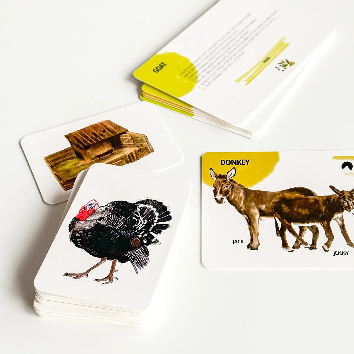 Educational Card Set Farm Animals