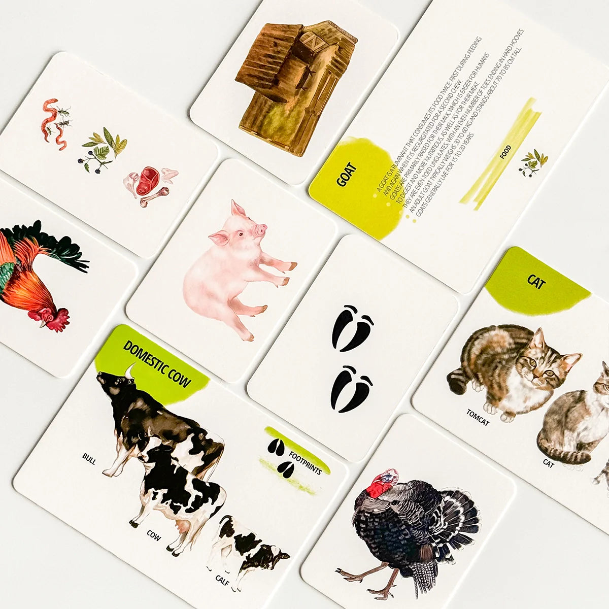Educational Card Set Farm Animals