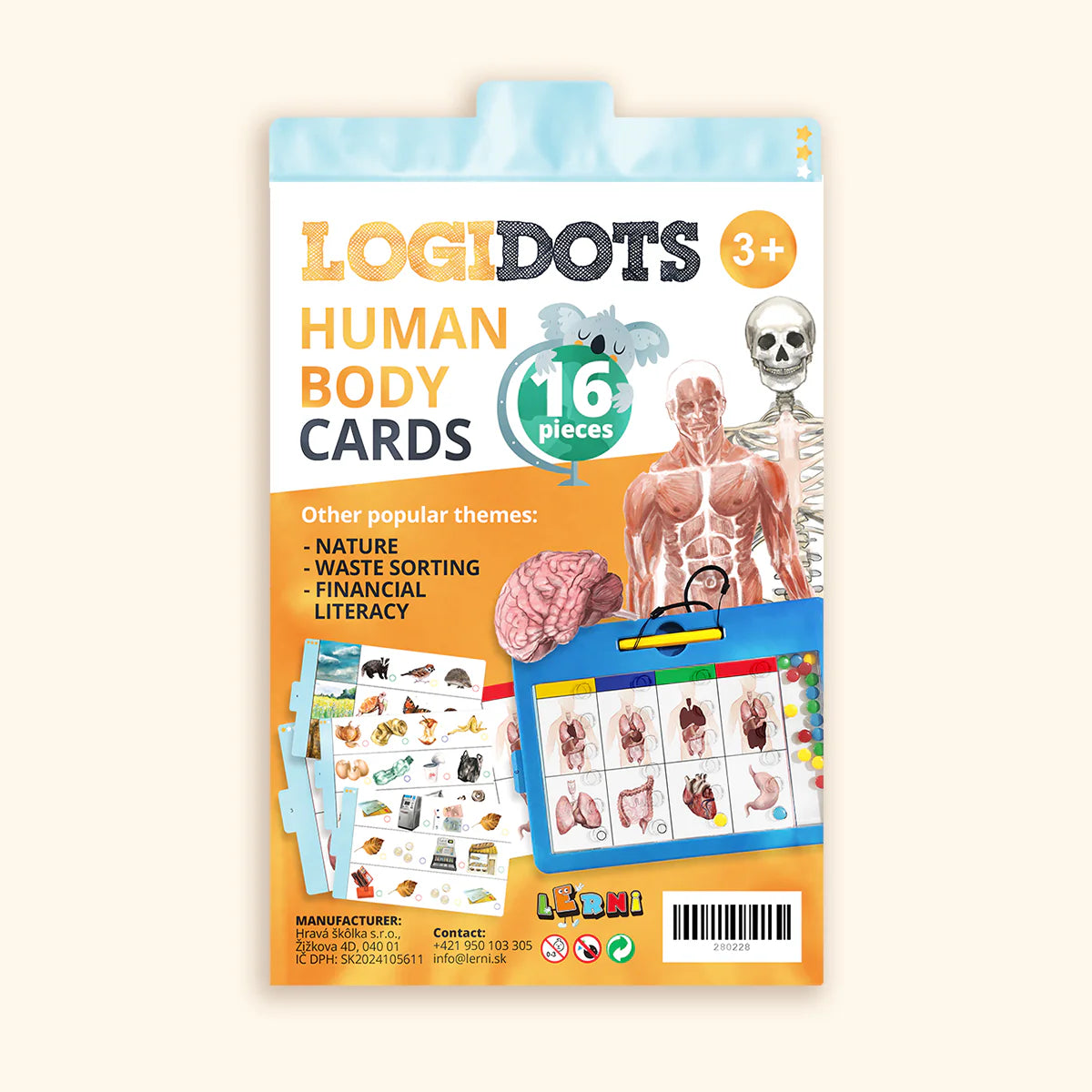 LOGIDOTS cards - Human body