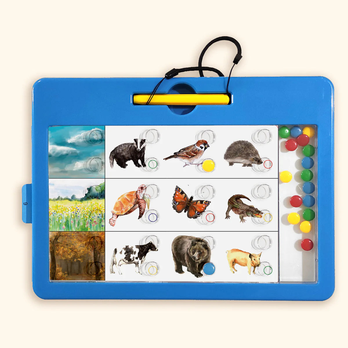 LOGIDOTS cards - Animals