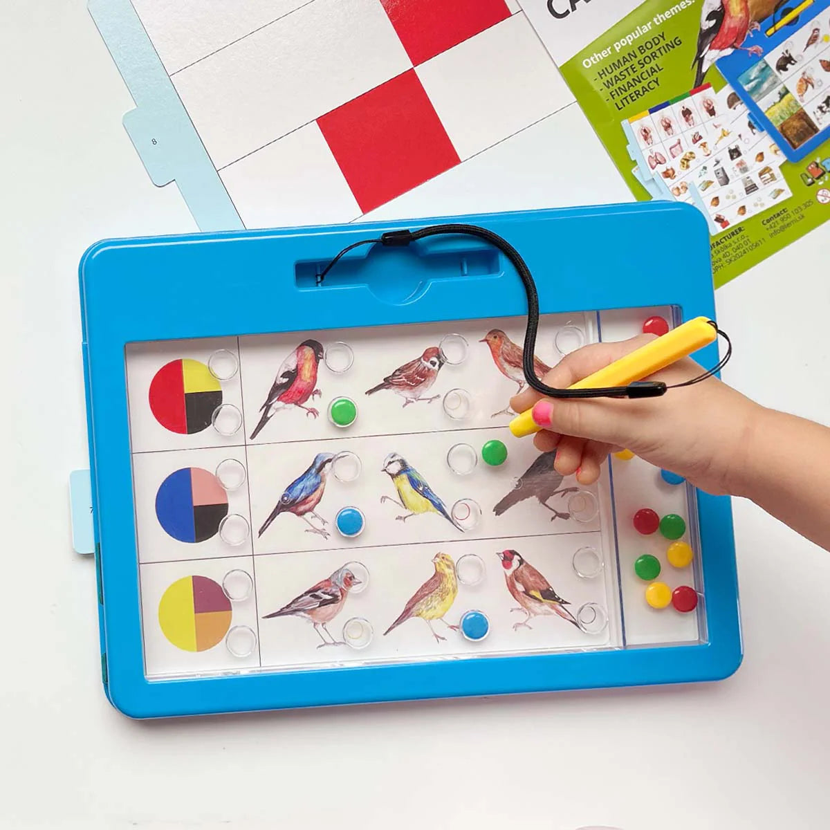 LOGIDOTS cards - Animals