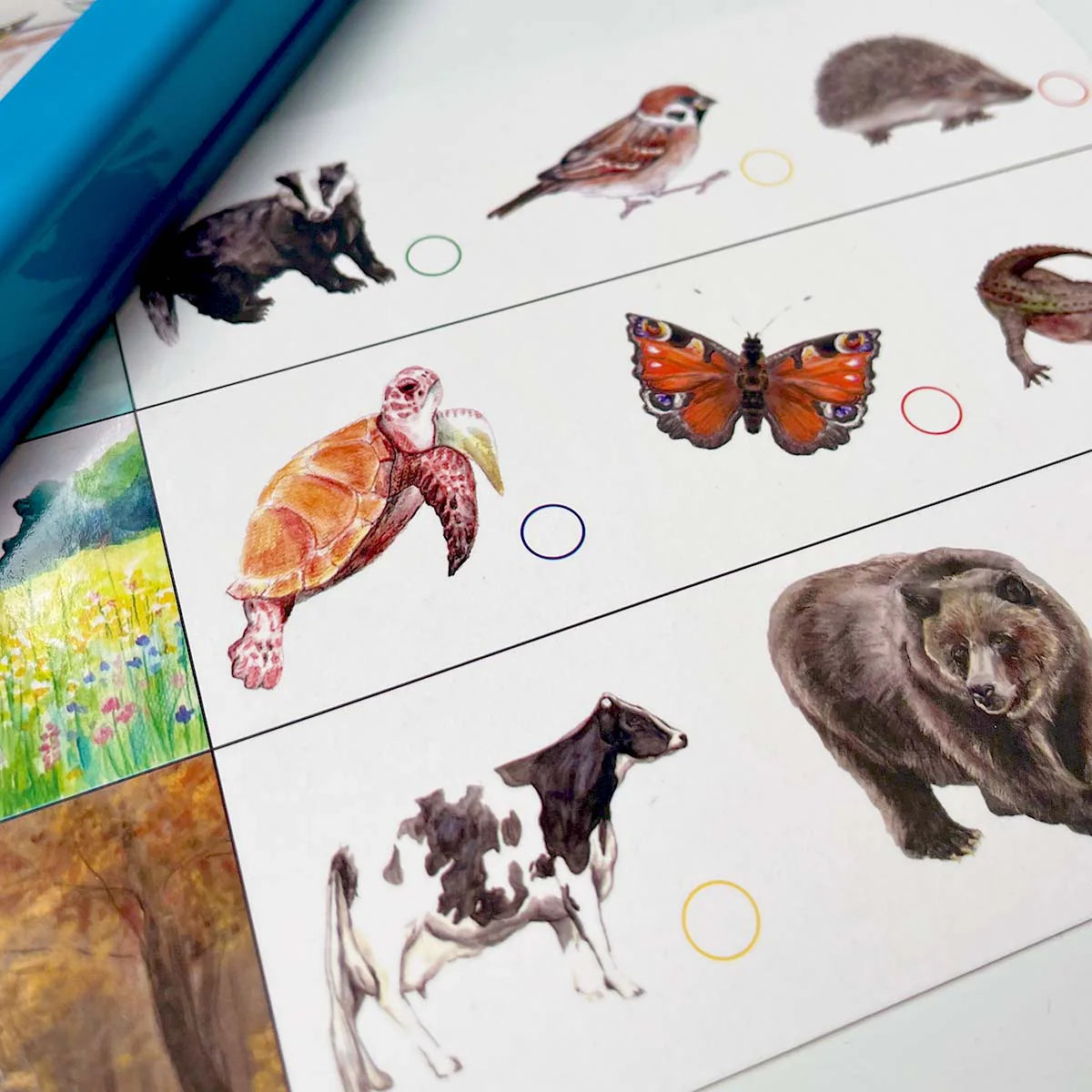 LOGIDOTS cards - Animals