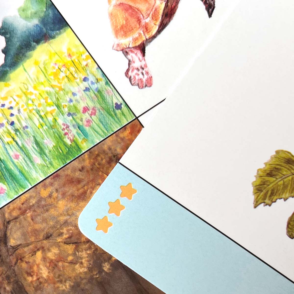 LOGIDOTS cards - Animals