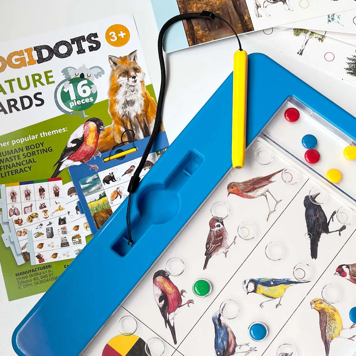 LOGIDOTS cards - Animals
