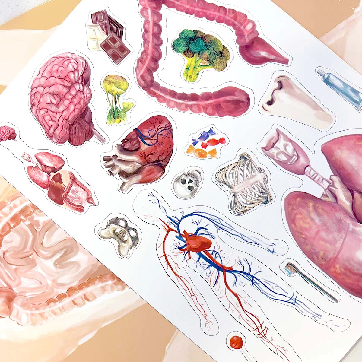 Magbook set of 4 magnetic books